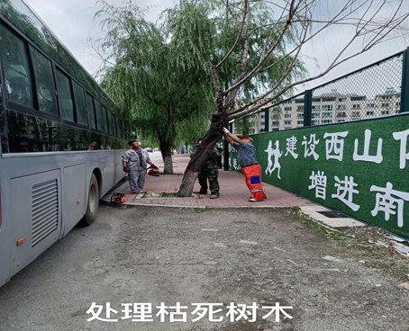 693c83faaadc49cea2d191de40343179.png